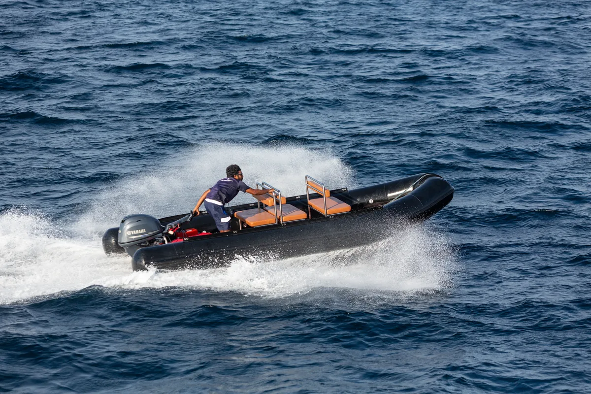 RIB